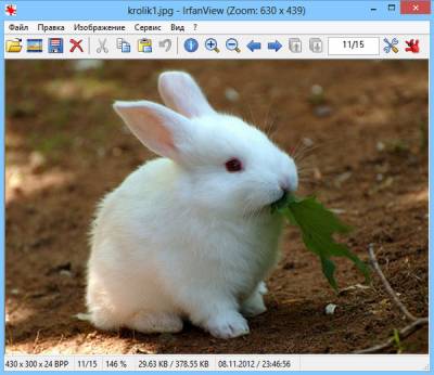 IrfanView - программа для работы с графическими изображениями